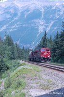 CP AC4400 pulls an intermodal freight through the Kicking Horse Pass. Photo taken from the Walk Through the Past trail. Nikon D50, 55mm, 1/250s at F8.